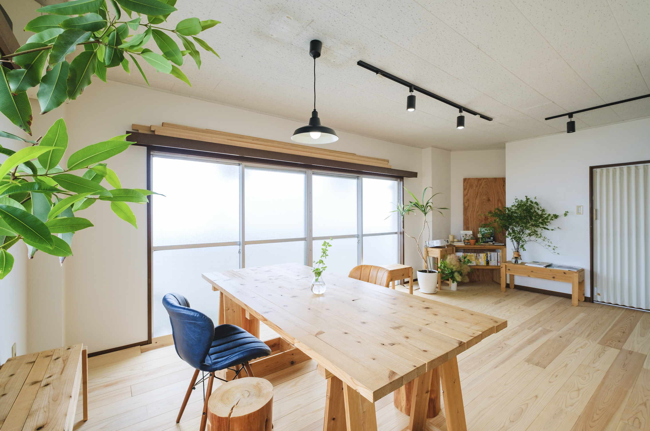 アンドパブリックのオフィス。木目と植物が調和した、落ち着いた作業空間。